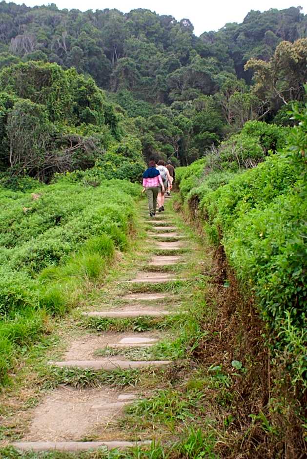 Storms River Guest Lodge