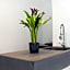 Houspitality Nero Bed & Breakfast