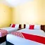 OYO Hotel Y Restaurante Mitla, Oaxaca