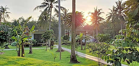 Koh Kood Chalet