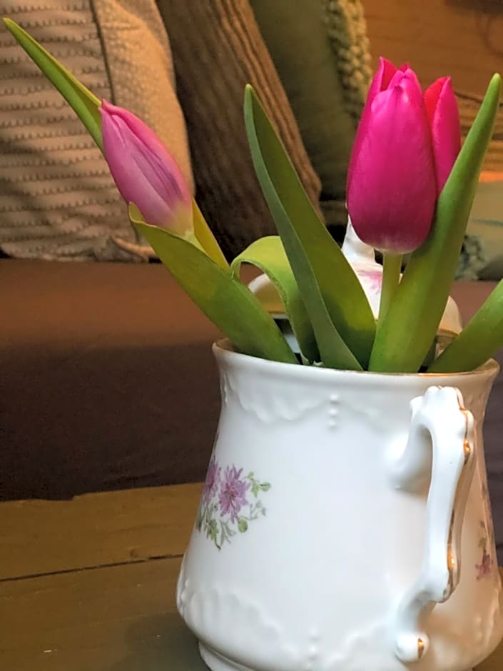 Groepsaccommodatie De Grote Waaij - EENVOUD, HUISELIJK EN GEZELLIG - voor familiebijeenkomsten