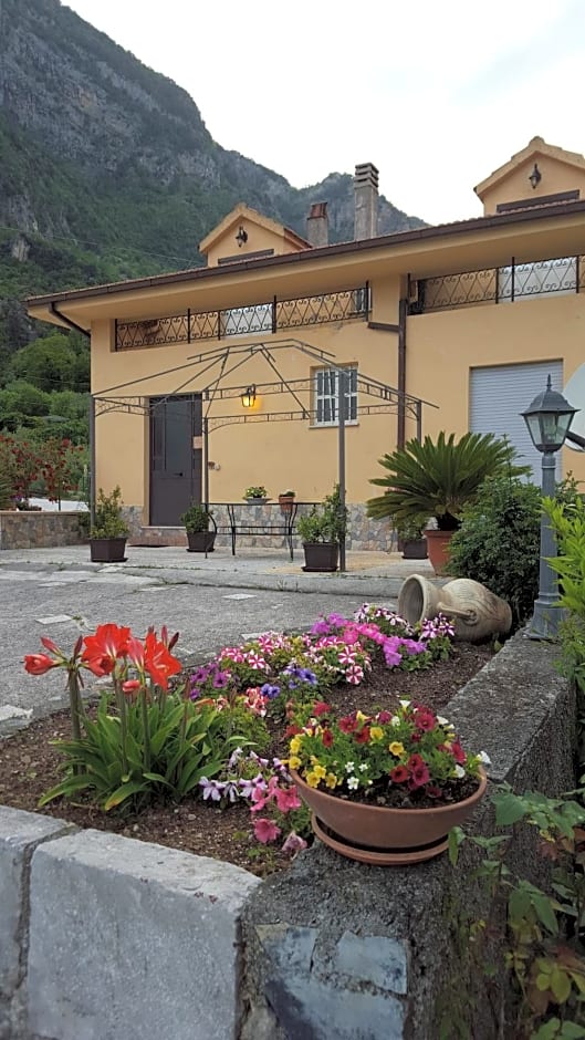 L'acquari – Trecchina, AZ