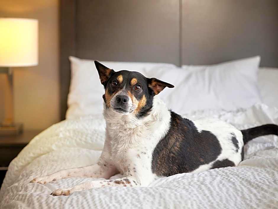 Garner Hotel Vienna - Prinz Eugen by IHG