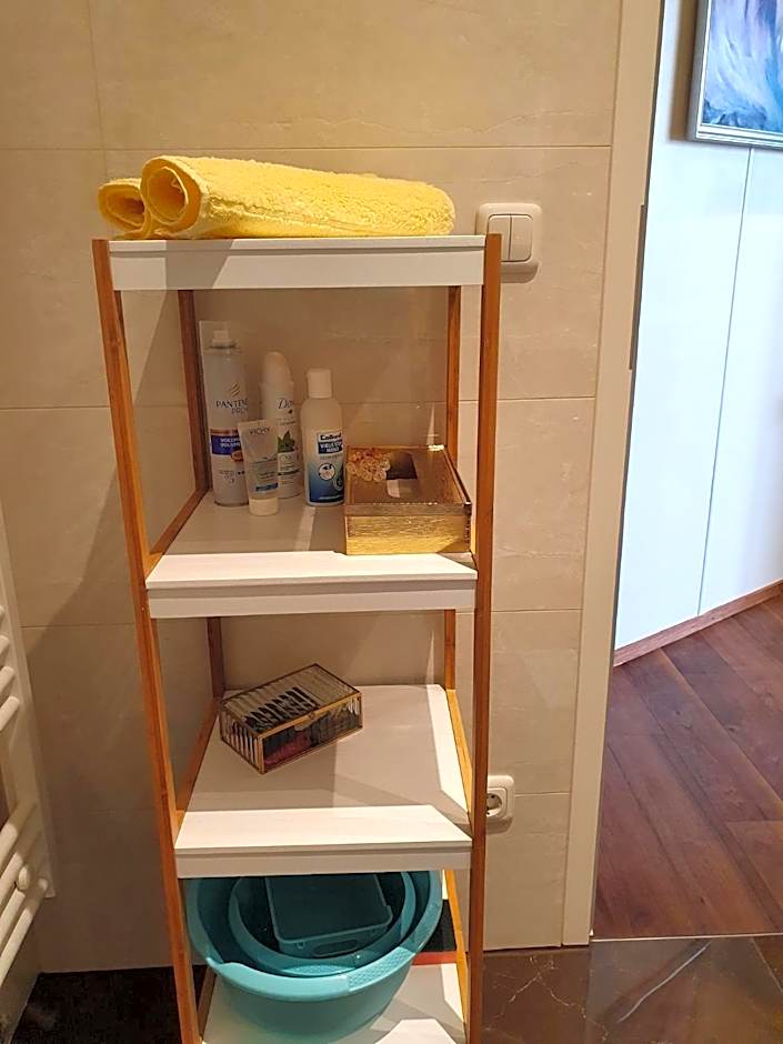LUXUSAPPARTEMENT mitten in Leipzig Neueröffnung !