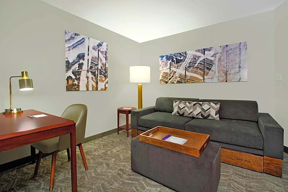 SpringHill Suites by Marriott Chesapeake Greenbrier
