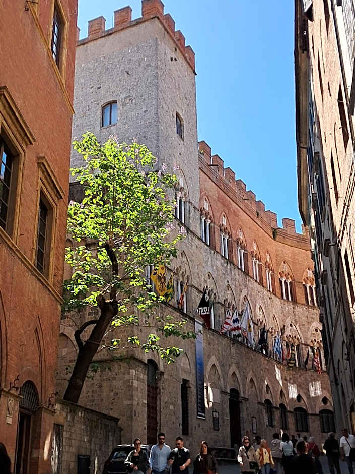 Hotel Minerva