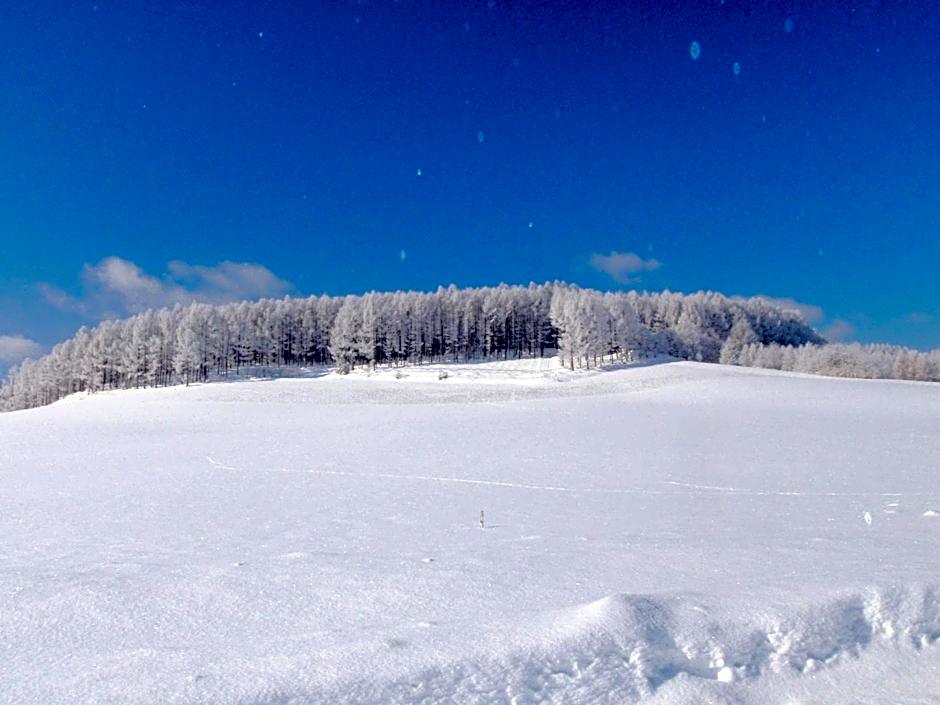 Furano - Hotel / Vacation STAY 35777