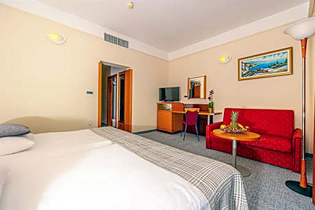 Double Room with Balcony and Park View