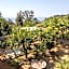 La BRIGNA B&B Il bosco sul mare