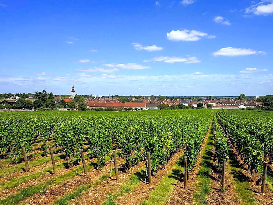 ibis budget Nuits Saint Georges