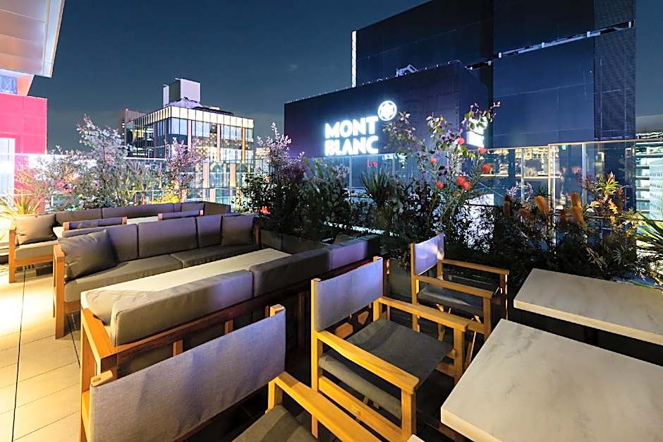 The Royal Park Canvas Ginza 8