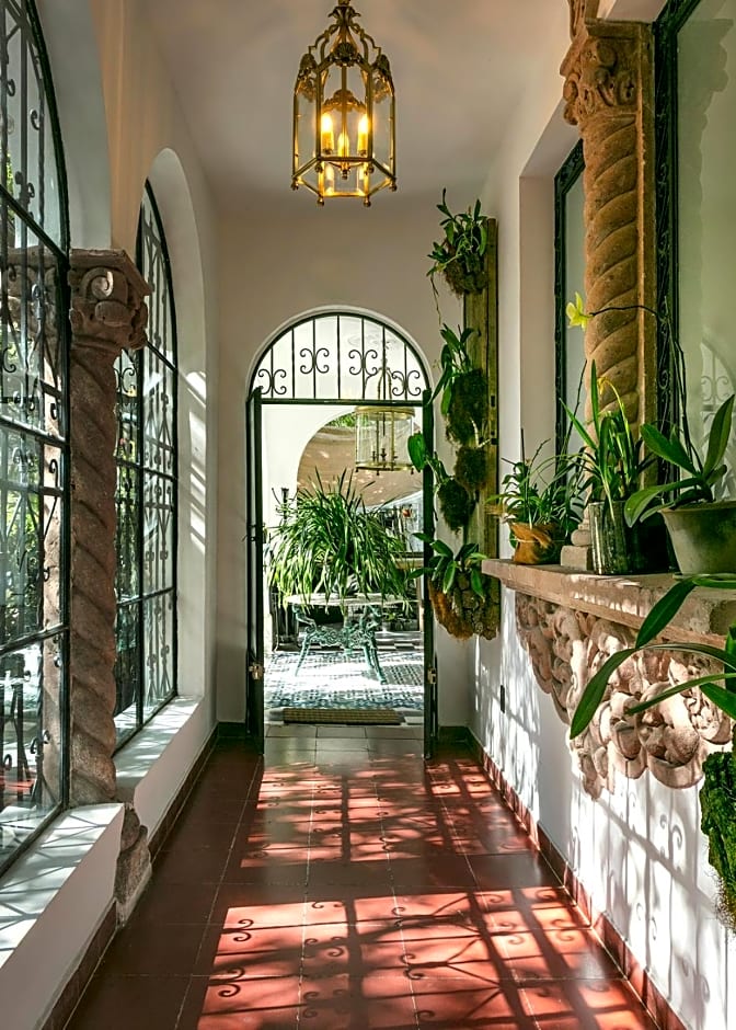 Orchid House Polanco