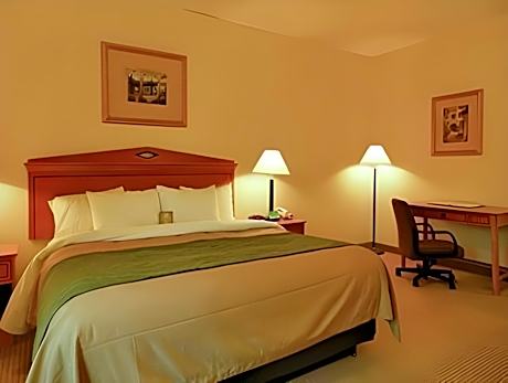 1 Bedroom Suite