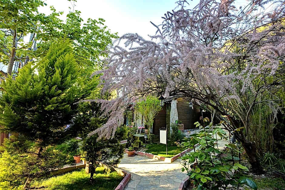 Park Mandalin Hotel - Adult only