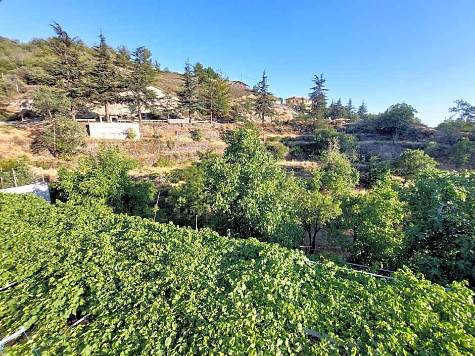 Agros Green Valley Suites