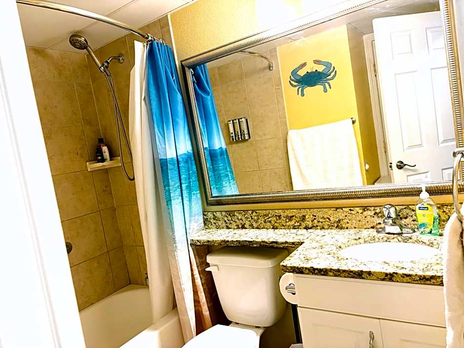 Beautiful newly renovated beachfront condo at Casa Del Mars