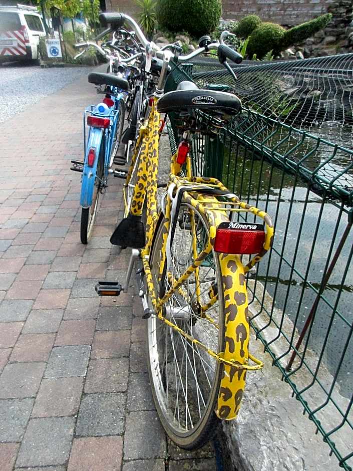 B&B Casa Roman & Vakantiewoning voor 1 pers tot max 32 personen