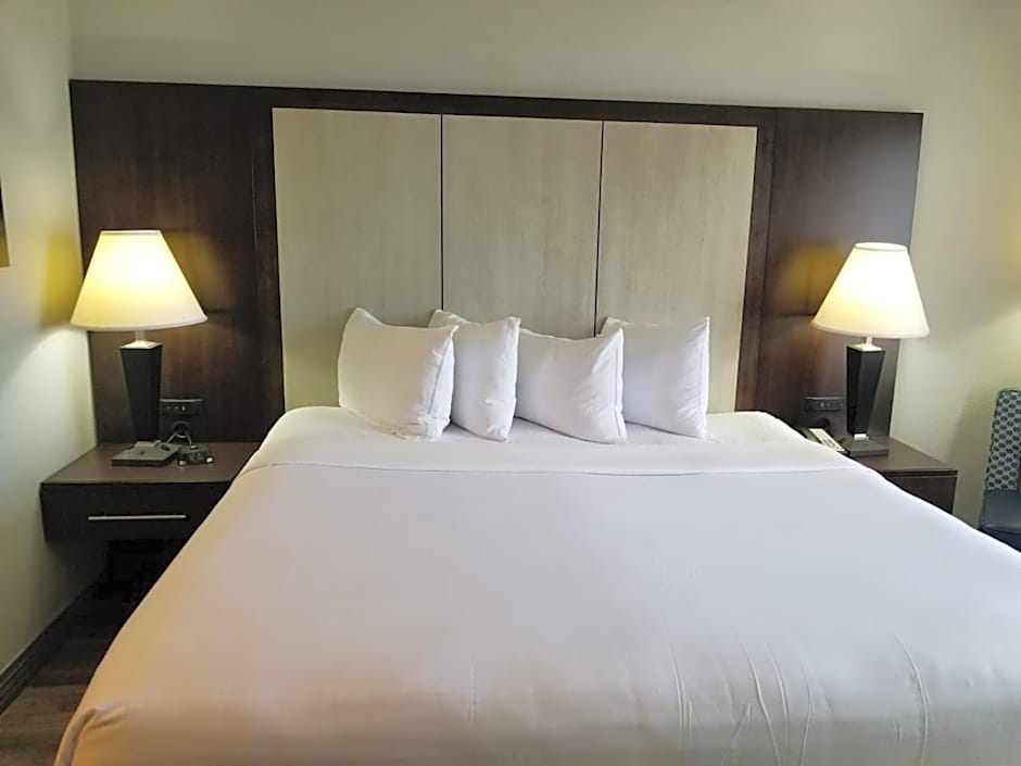 Photo 1 of 4 of 1 King Bed