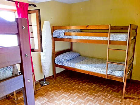 Bunk Bed in Mixed Dormitory Room