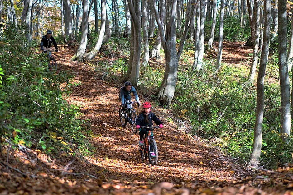 Madarao Mountain Lodge