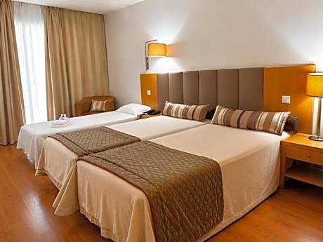 Double or Twin Room with Extra Bed