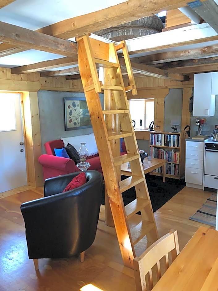 Vines and Puppies Hideaway