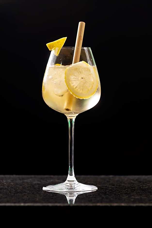 Martin's Brussels EU