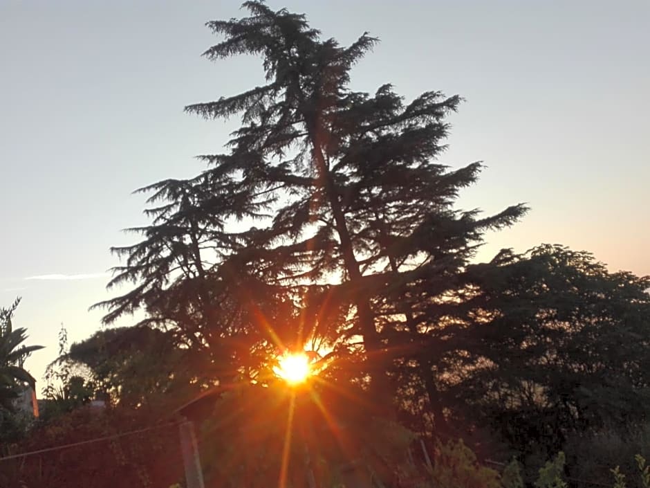 A1 Girasole B&B