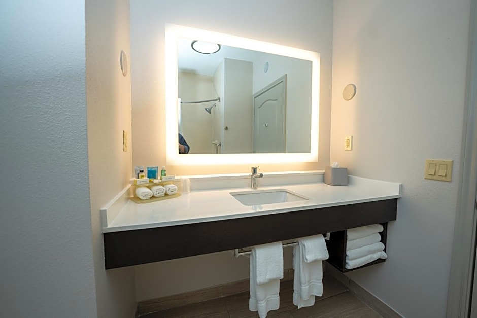 Holiday Inn Express Hotel & Suites Deer Park By IHG