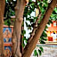 Riad Ayadina & SPA