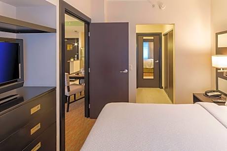 One-Bedroom Suite with Sofa Bed