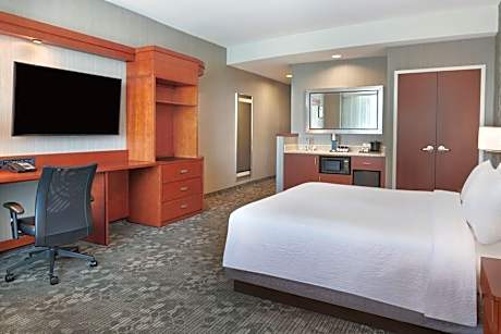 Room, 1 King Bed