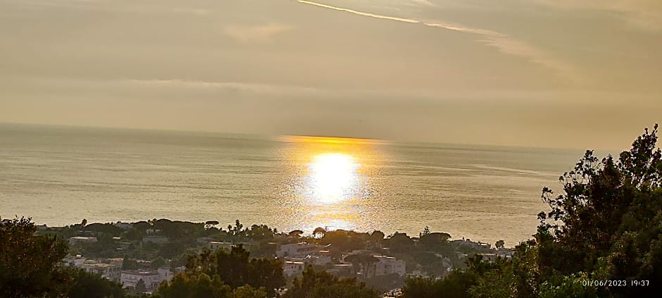 Villa Antonietta Ischia