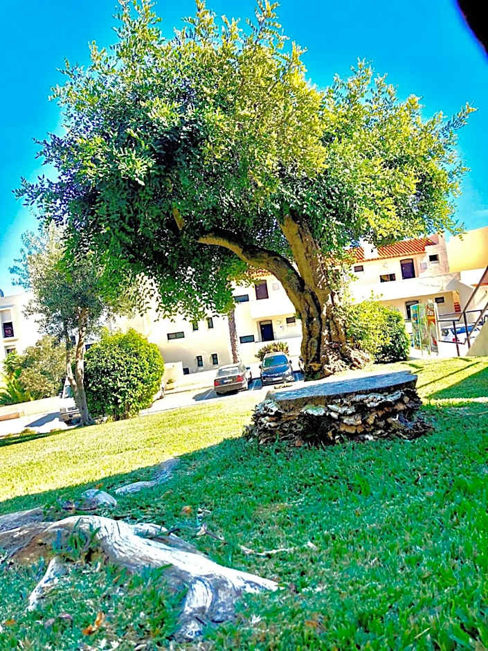 Albufeira Jardim - Apartamentos Turísticos
