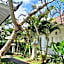 Starling villas