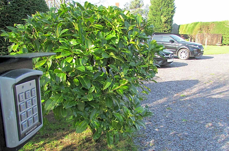 Willow Lodge Hambleton