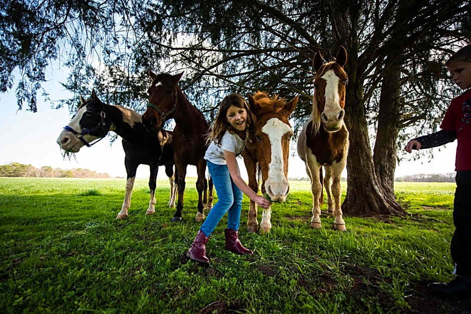 Southern Cross Guest Ranch