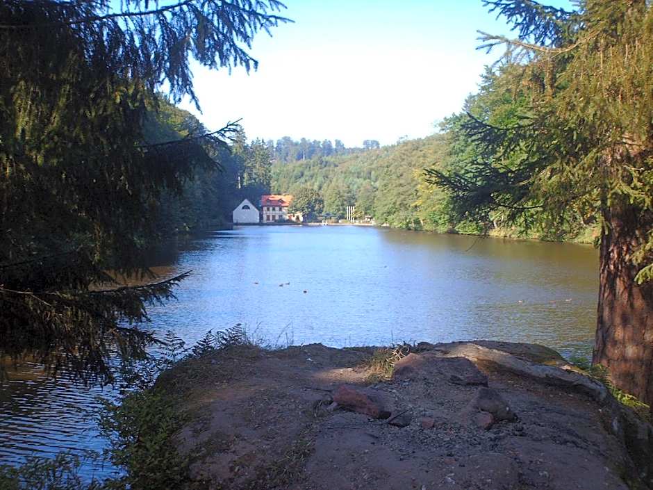 Logis Hôtel Restaurant Ritter'Hoft