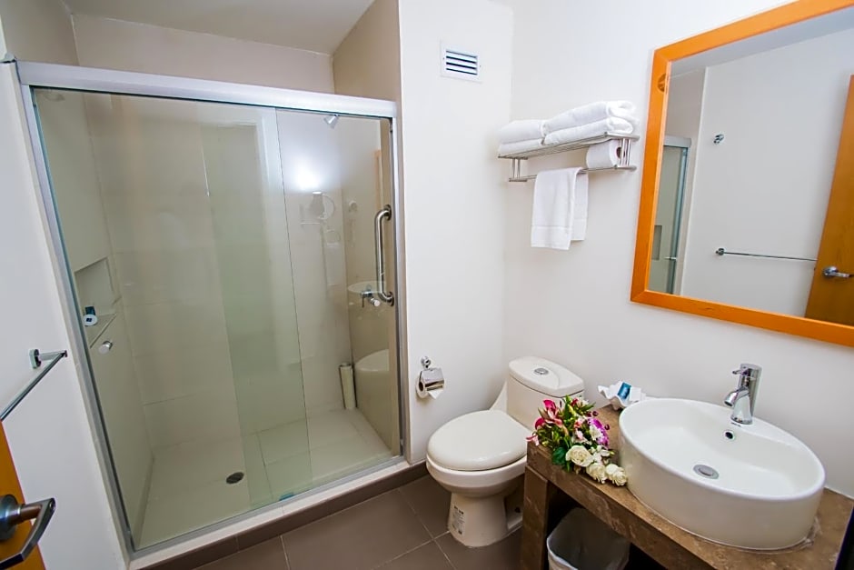 Sleep Inn Monclova