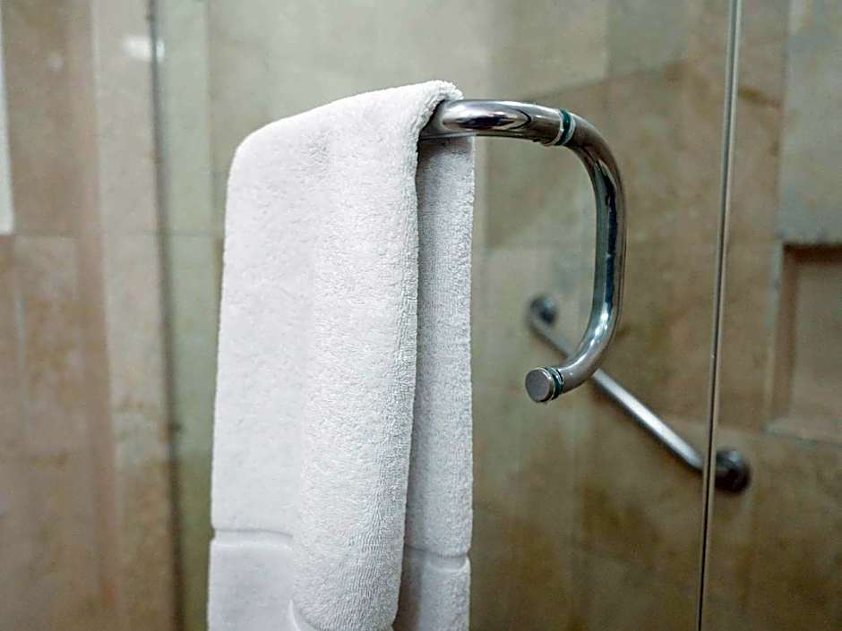 HS HOTSSON Hotel Tampico