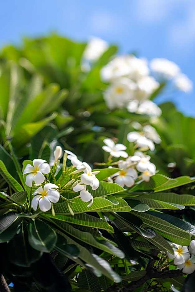 Grand Mercure Apartments Magnetic Island