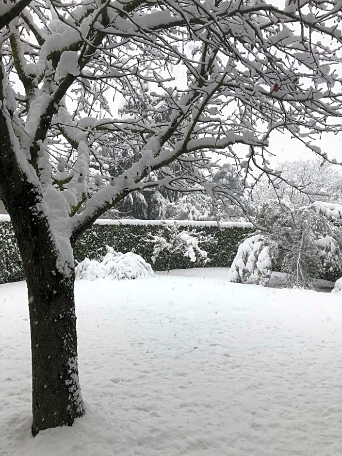 In Giardino B&B – Cassina de' Pecchi, DC