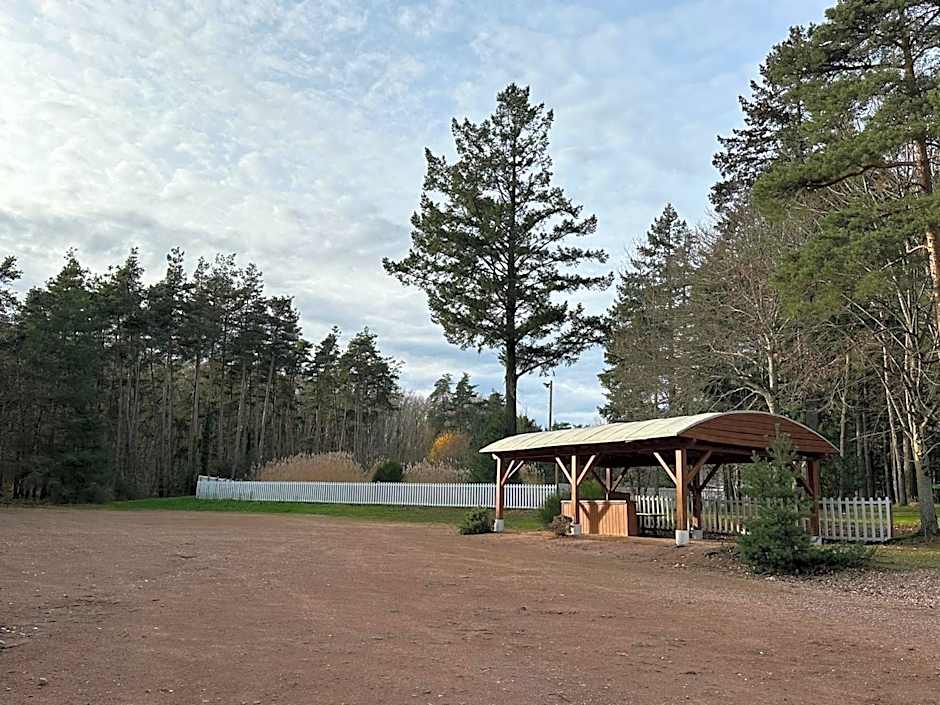 Du côté de chez Sam