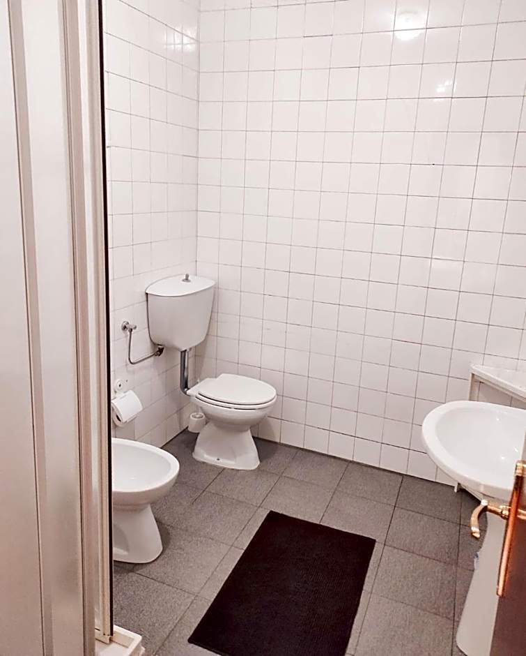 Alojamento Local Tamega