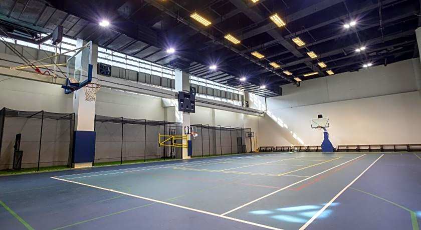 The Alpha Suites