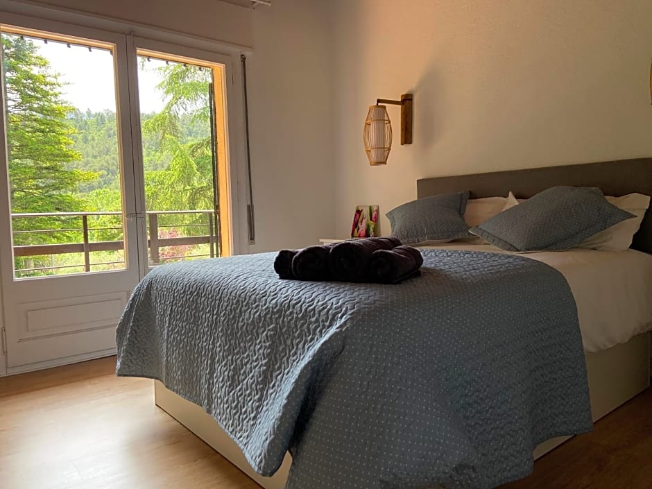 Els Avets de la Muga