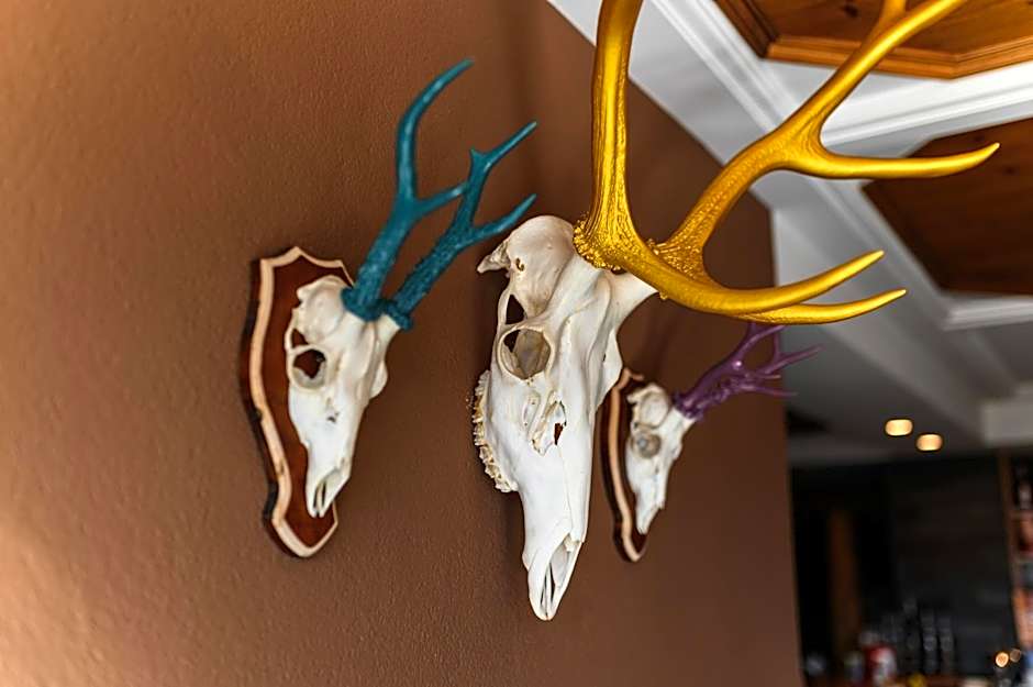 Hotel Restaurant Alber