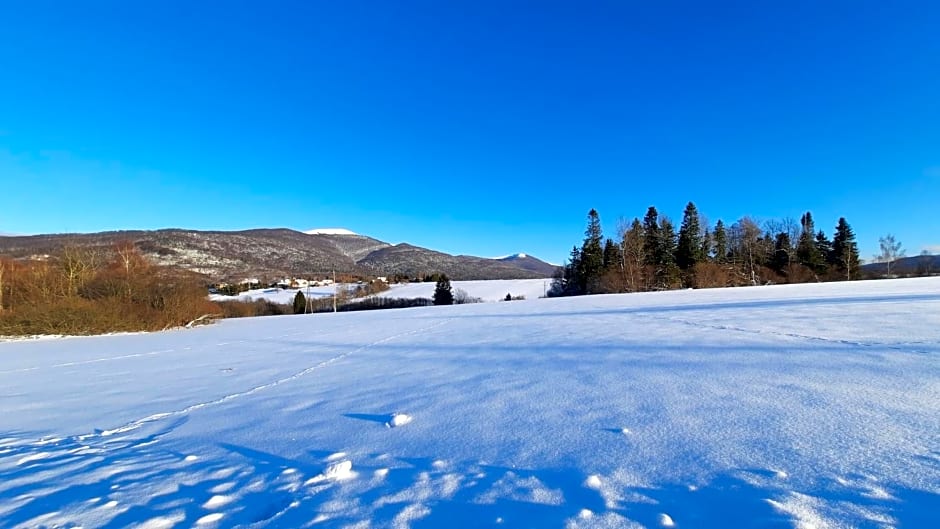 Domki i Apartamenty Rogate Anioły