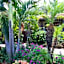 Royal Flamingo Villas