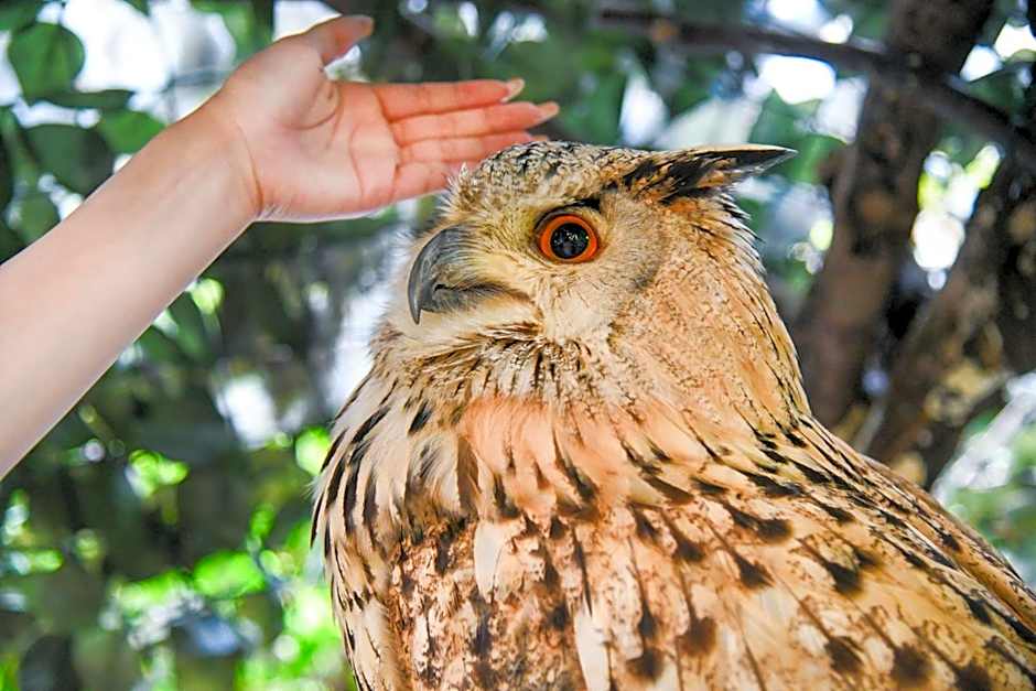 ＹＵＦＵＩＮ　ＦＬＯＲＡＬ　ＶＩＬＬＡＧＥ　ＨＯＴＥＬ